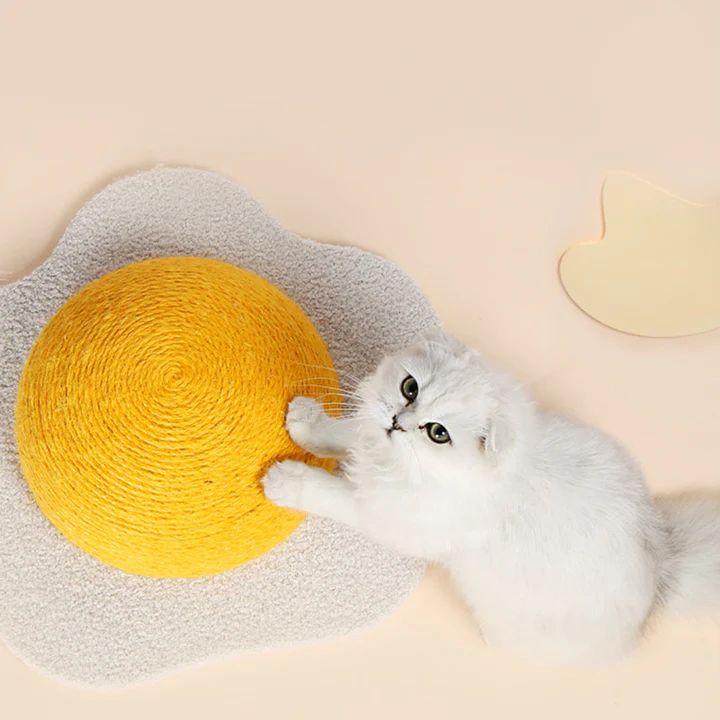 Feline Play