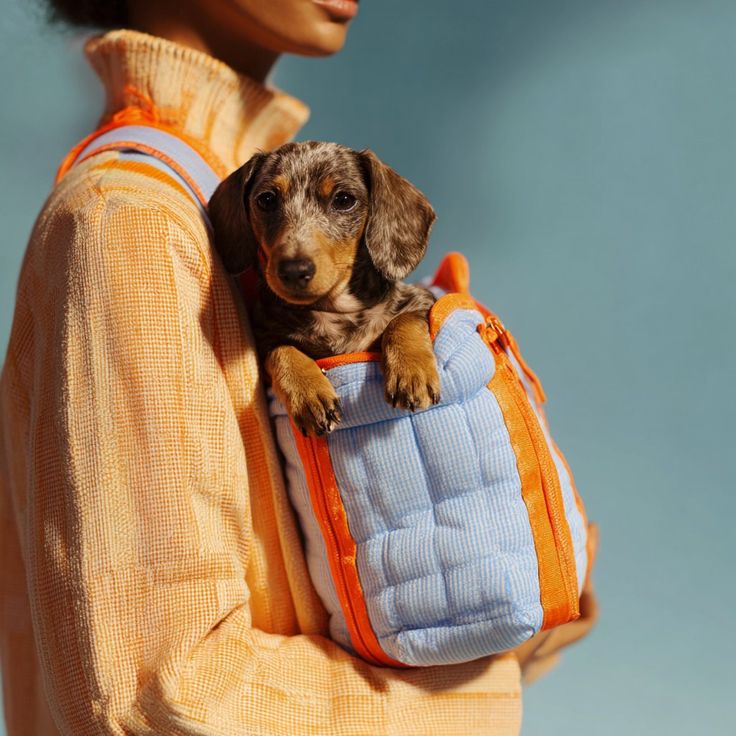Pet Travel Carriers