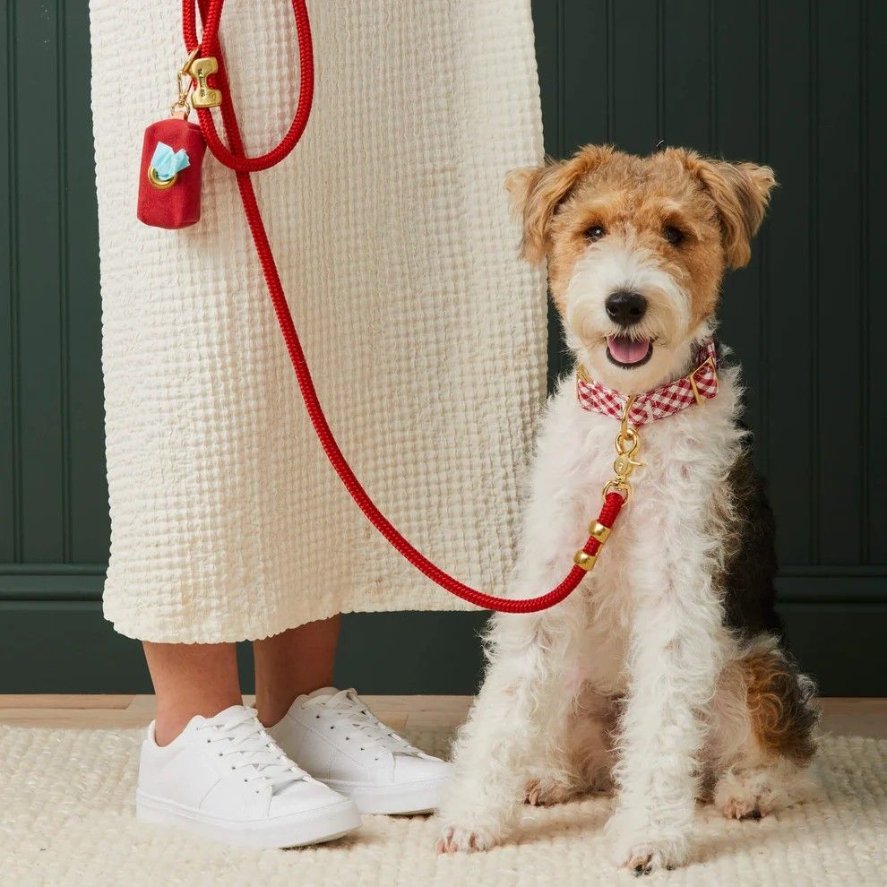 Everyday Dog Leads