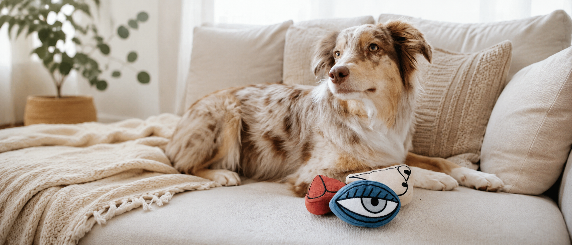 Life With Pets